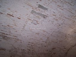 Castillo de Mula 2007